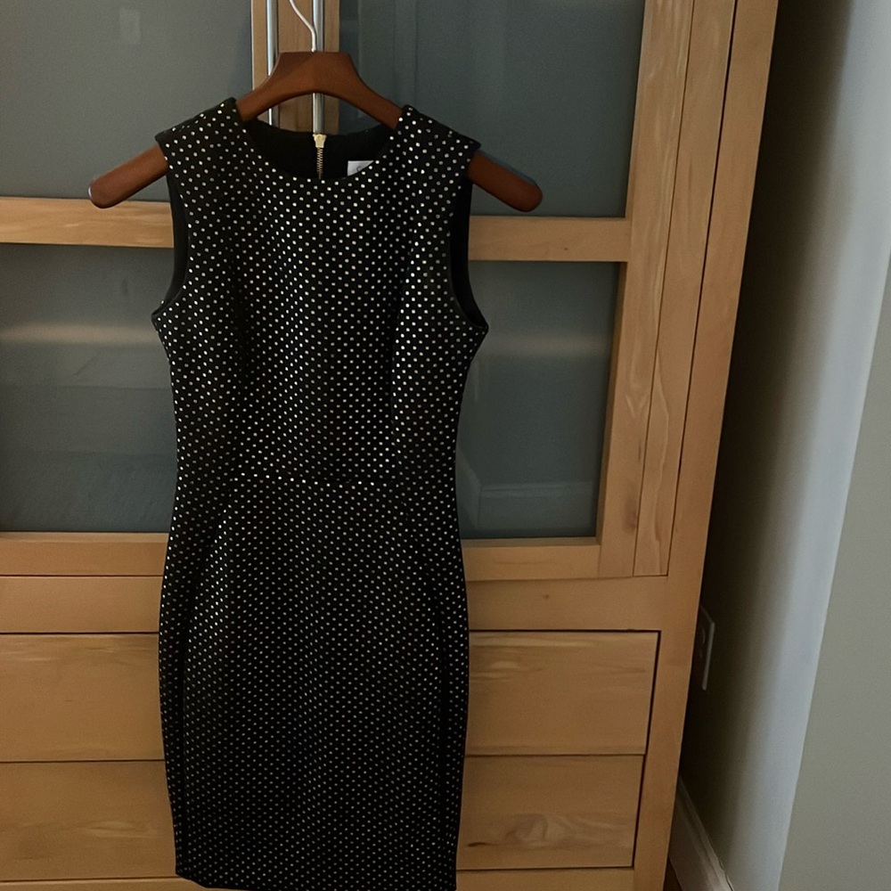 Calvin Klein black and gold dress.